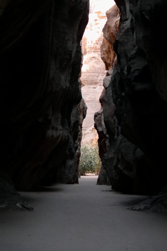 saoedi arabië 2025 11 05 (194)